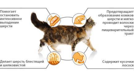 7 лучших паст для вывода шерсти у кошек: что выбрать и как давать