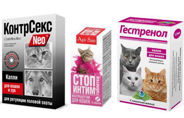 Капли от блох для кошек: особенности препаратов и лучшие производители