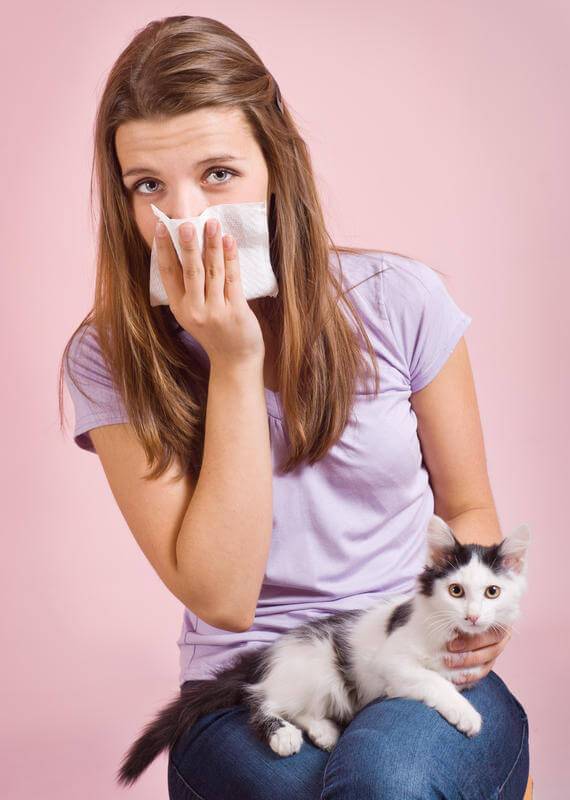 Кошка в доме и дети-аллергики