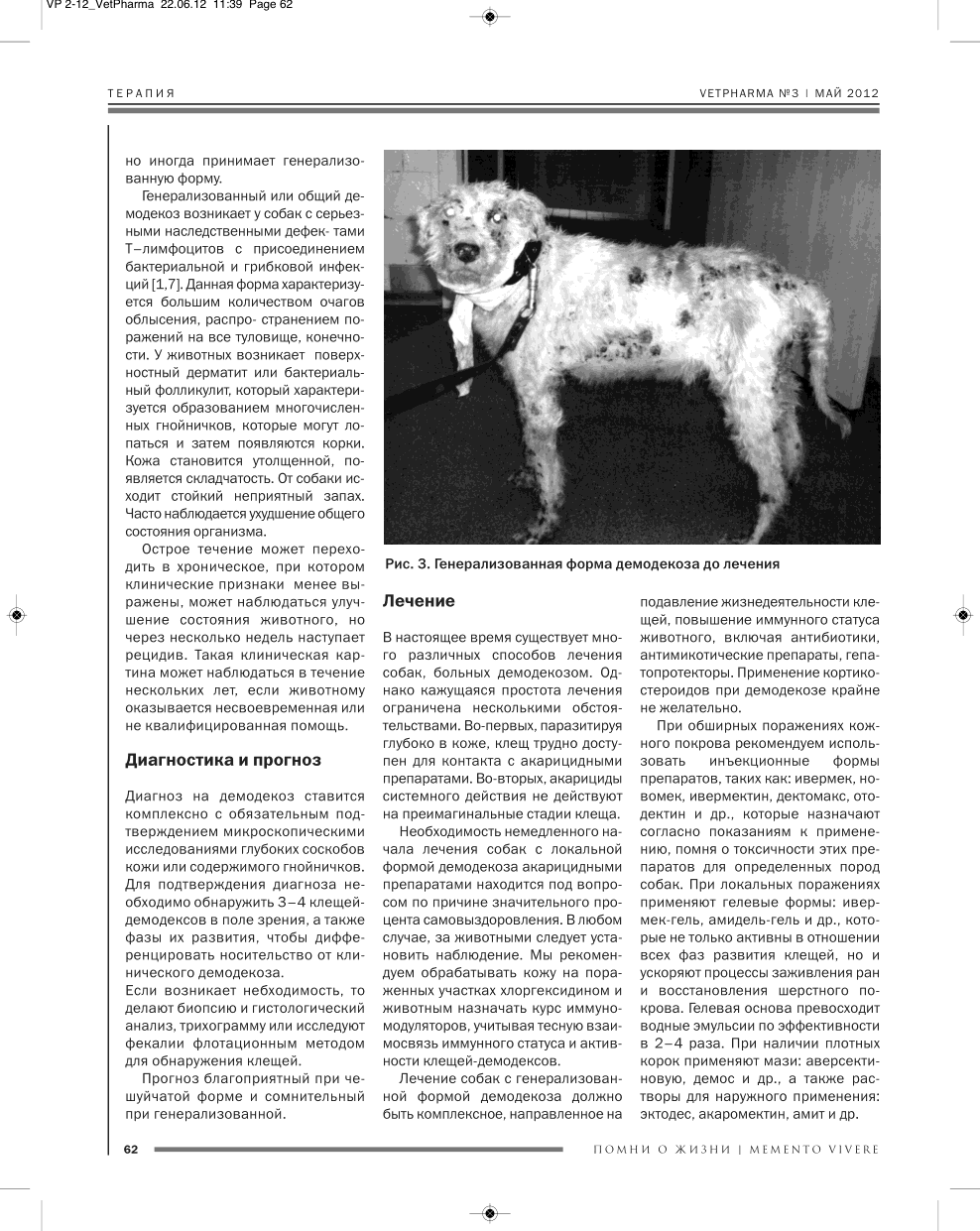 Демодекоз (подкожный клещ) у собак – симптомы и лечение