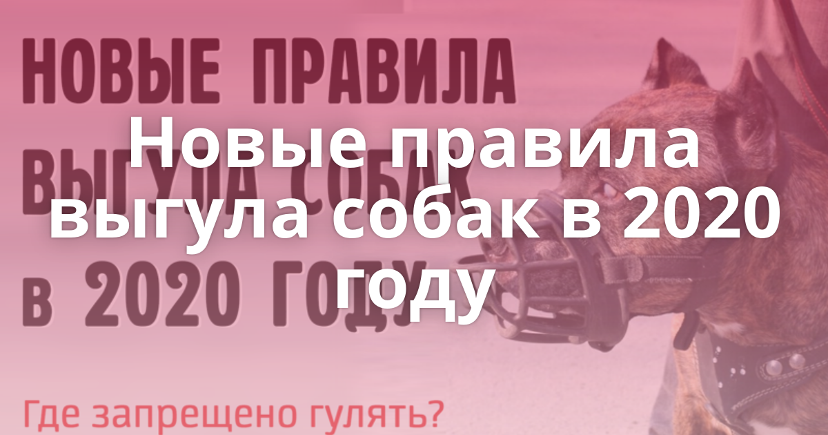 Закон о намордниках для собак 2023