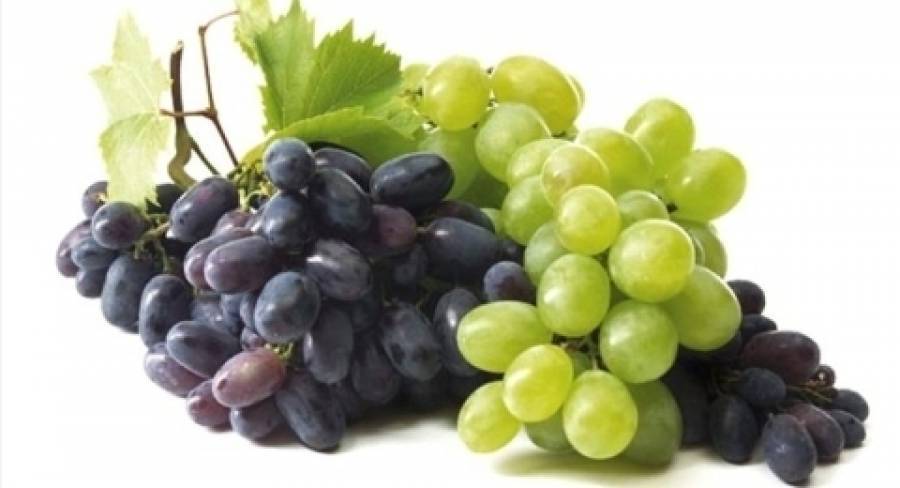Можно ли джунгарским или сирийским хомякам виноград?