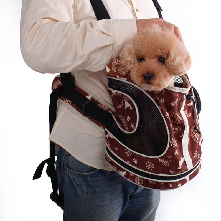 Какие бывают рюкзаки-переноски для собак: советы по выбору кенгуру