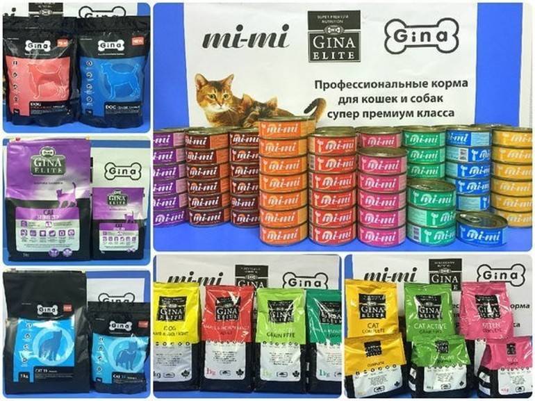 ᐉ обзор корма для кошек gina elite - ➡ motildazoo.ru