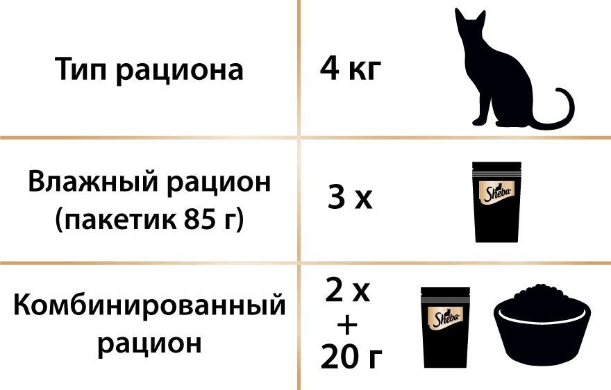 Можно ли кормить кошек разными влажными кормами