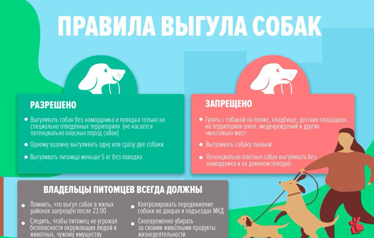 Правила выгула собак: закон в 2020 году в россии, штраф, запрещенные места, можно ли гулять без намордника и поводка в городе, в неположенном месте