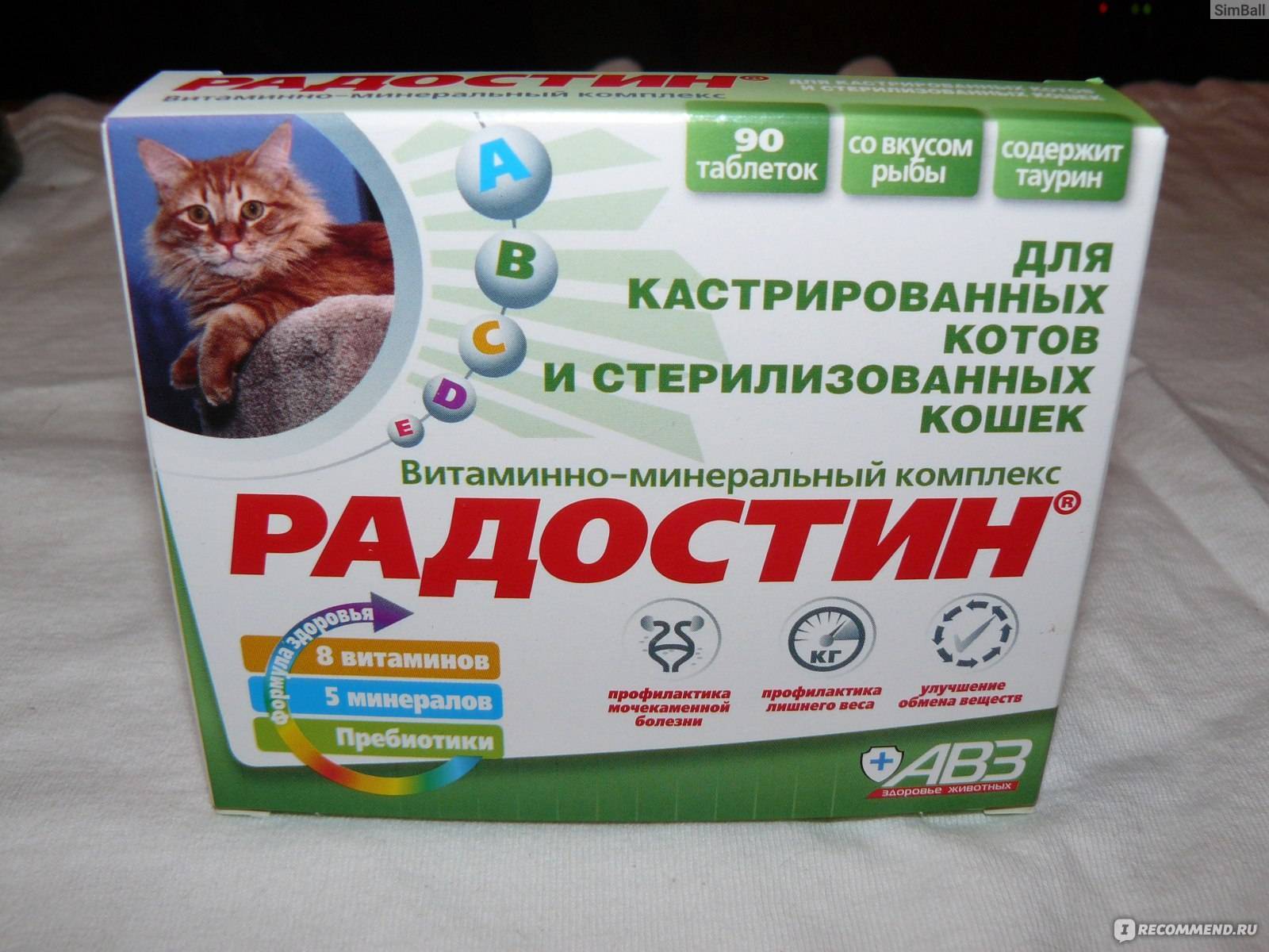 Витамины для кошек: группы, инструкция по применению