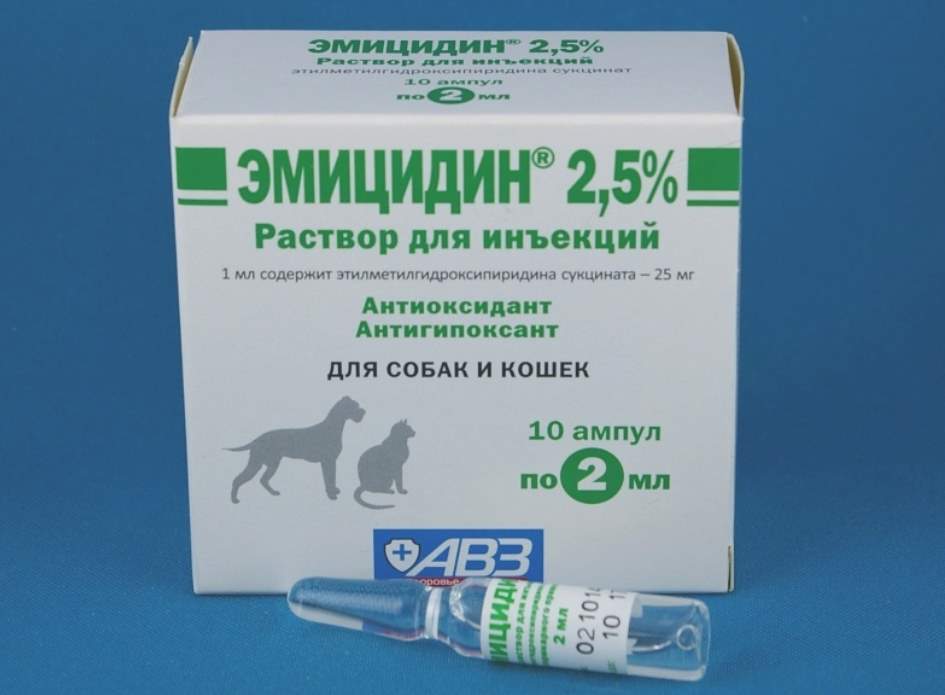 Свойства и особенности приема препарата эмицидин для лечения собак