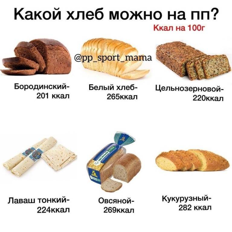Можно ли давать собакам хлеб: какой хлеб будет полезным, плюсы и минусы кормления хлебом, как добавлять в еду