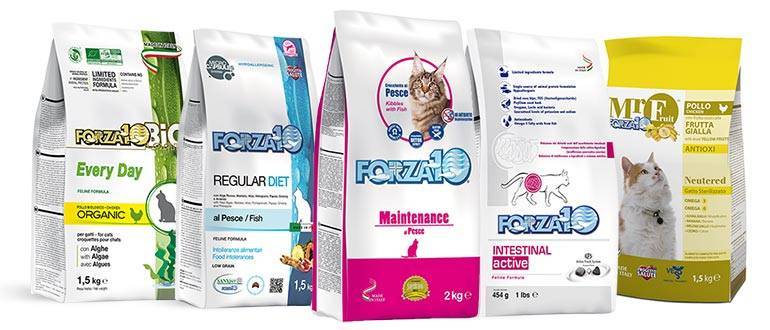 Forza10 корм для кошек — анализ состава и виды