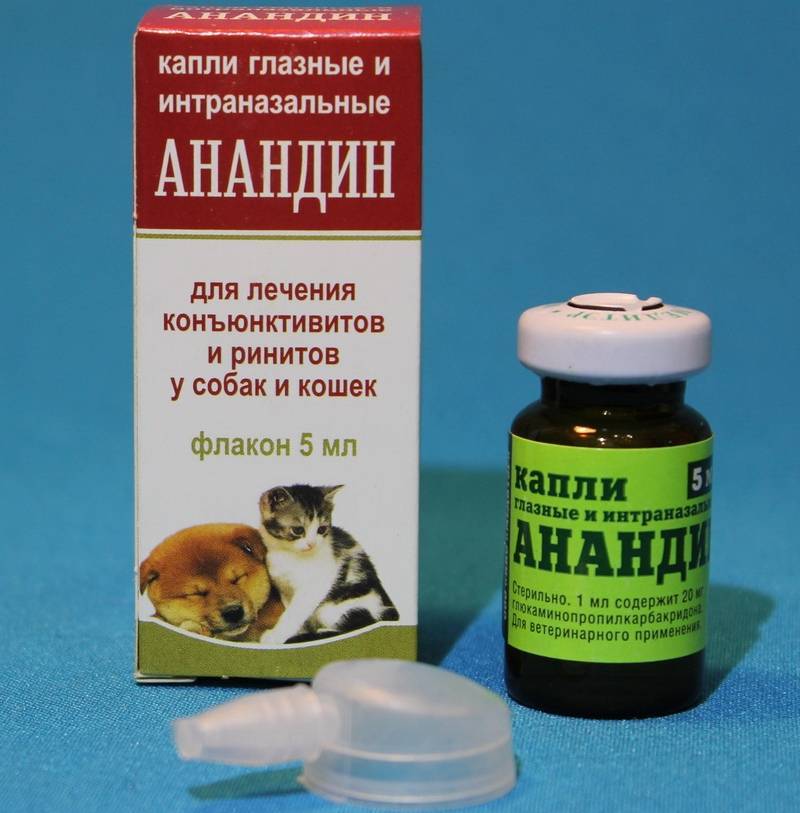 Анандин для кошек - инструкция по применению препарата