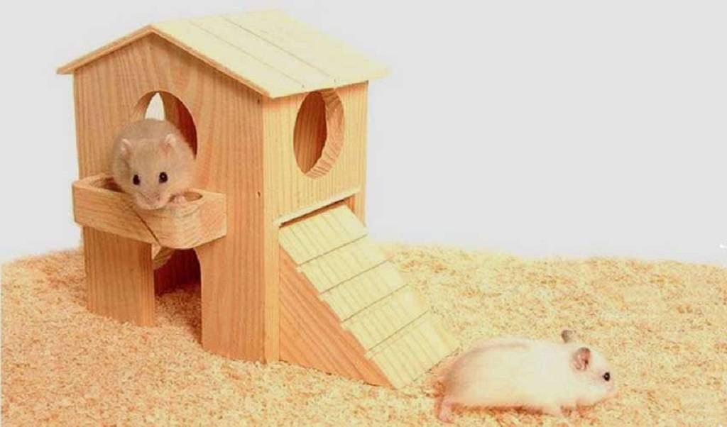 Домик для крысы своими руками: как сделать мягкий из ткани или дерева, из коробки и фанеры, фото и чертежи, что можно положить в строение