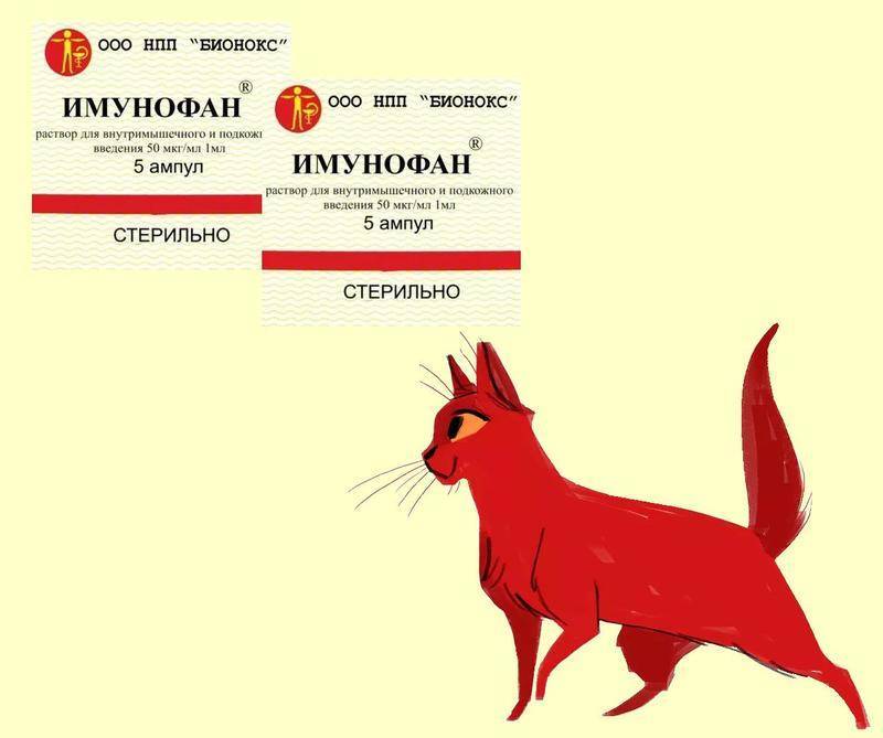 Имунофан для кошек - инструкция по применению, дозировка - kotiko.ru