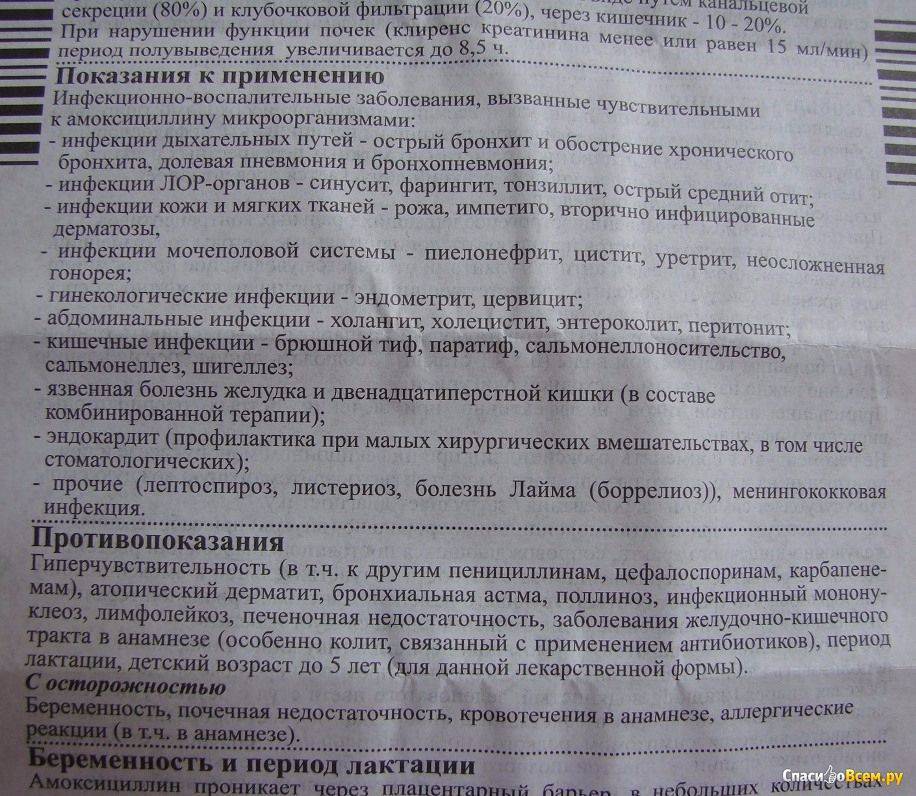 Амоксициллин для собак: инструкция по применению, дозировка, ограничения и побочные явления, отзывы
