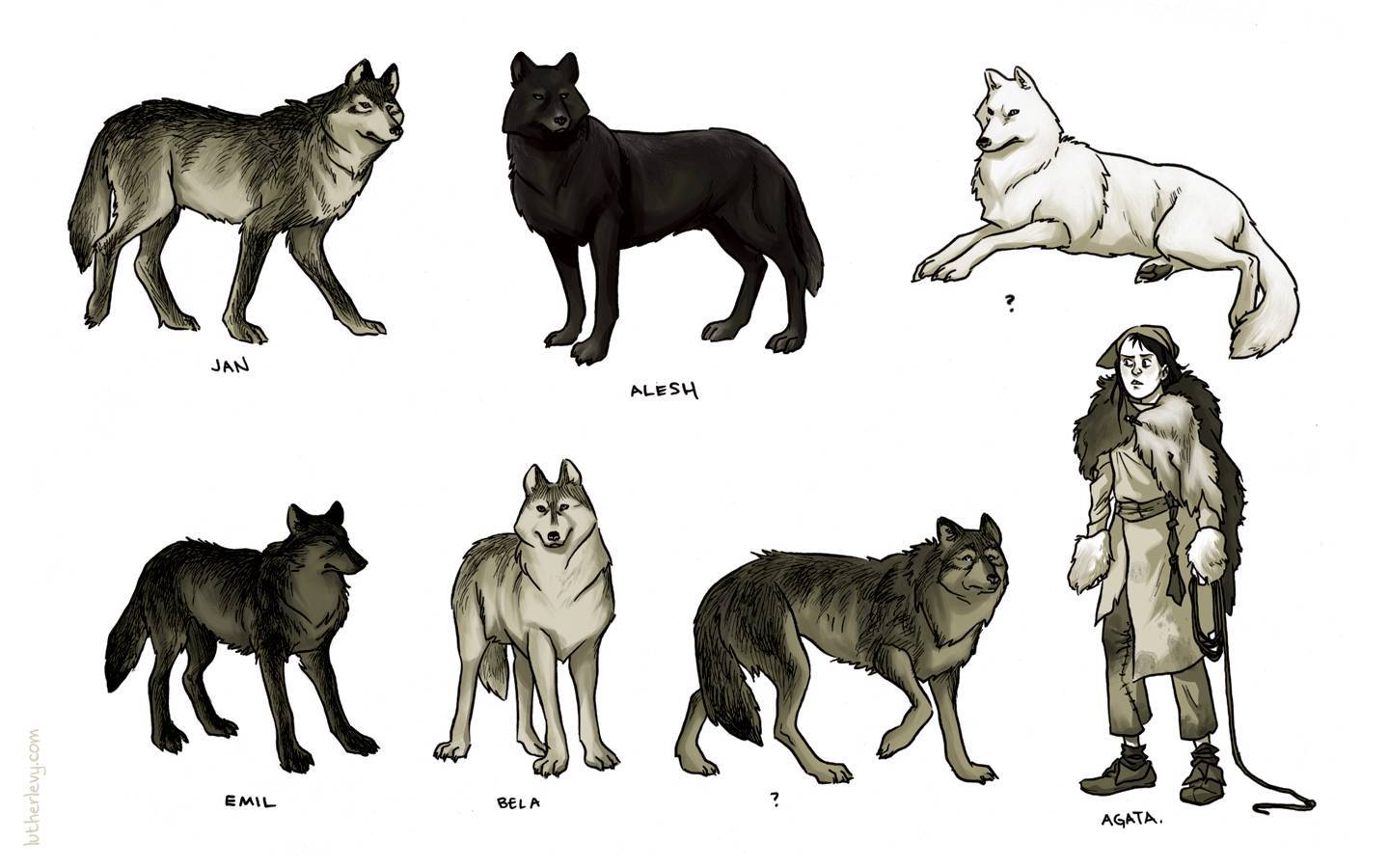 Список пород собак, похожих на волков.
список пород собак, похожих на волков.