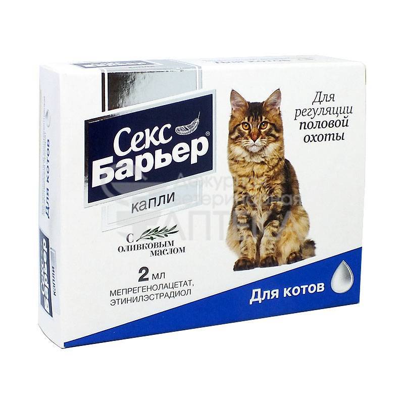 «антисекс» для кошек: инструкция, можно ли давать, аналоги препарата