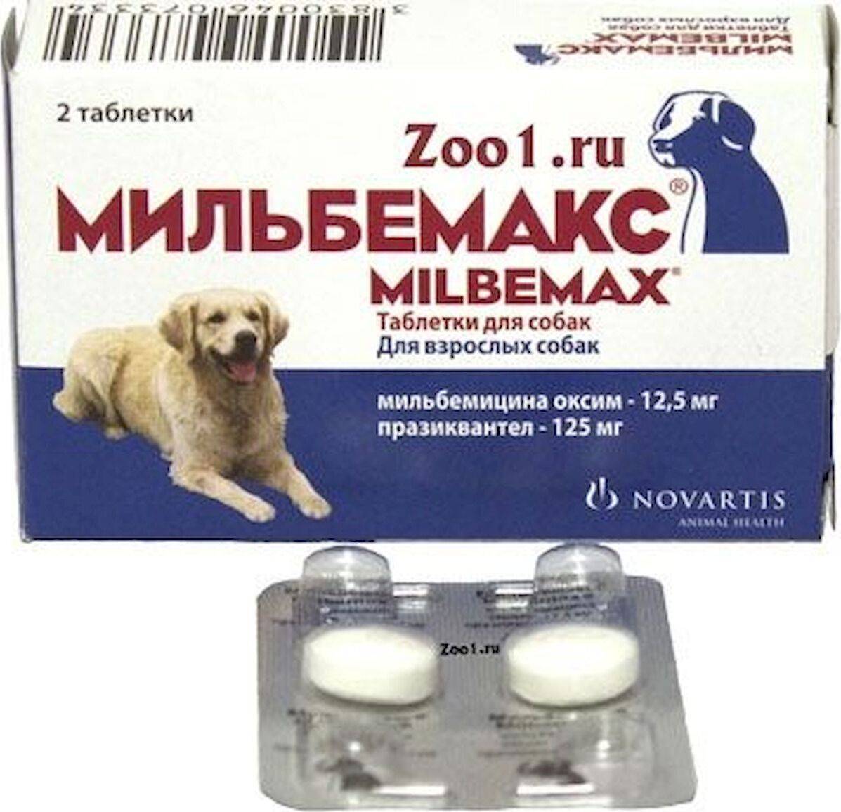 Мильбемакс для собак от глистов - инструкция по применению, цена и отзывы