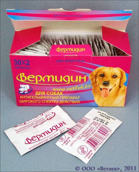 Вермидин для собак и кошек: инструкция по применению, описание, противопоказания, побочные действия | препараты | наши лучшие друзья