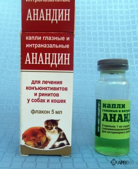 Анандин для кошек - механизм действия, побочные эффекты, противопоказания и аналоги