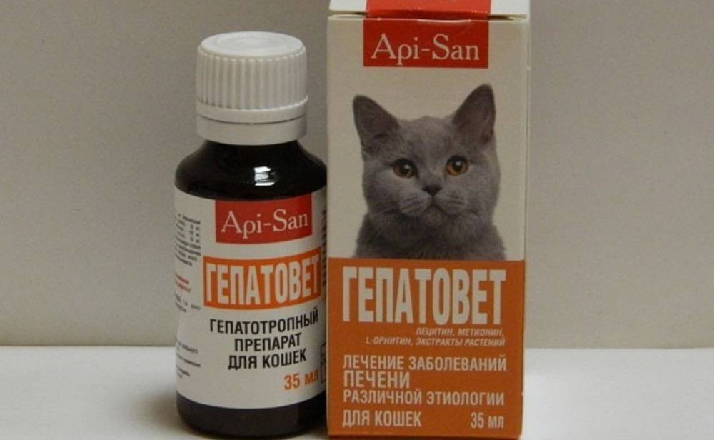 Обзор препарата имунофан для кошек: инструкция по применению, отзывы