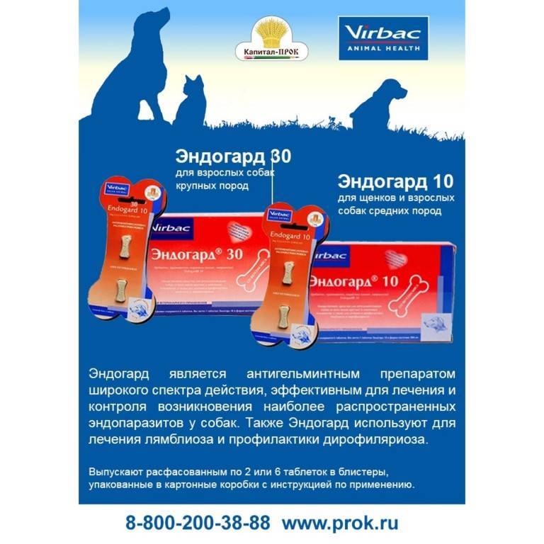 Обзор противопаразитарных препаратов — ветеринарные клиники ситивет в санкт-петербурге