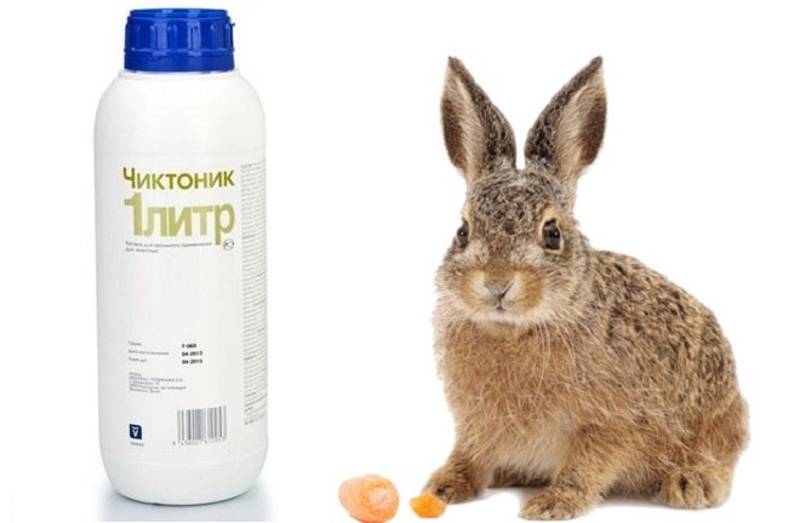Чиктоник для кроликов: инструкция по применению — selok.info