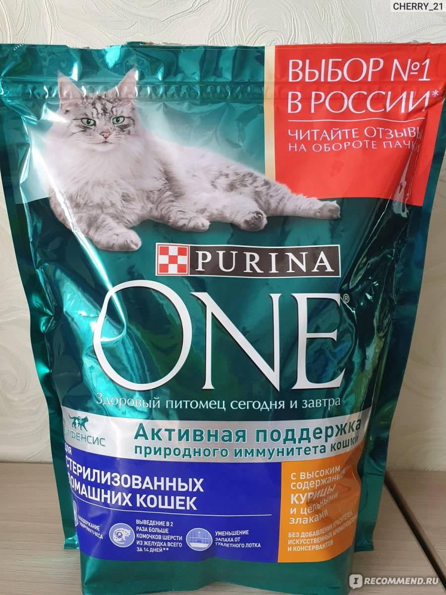 Пурина ван для кошек: особенности рационов питания