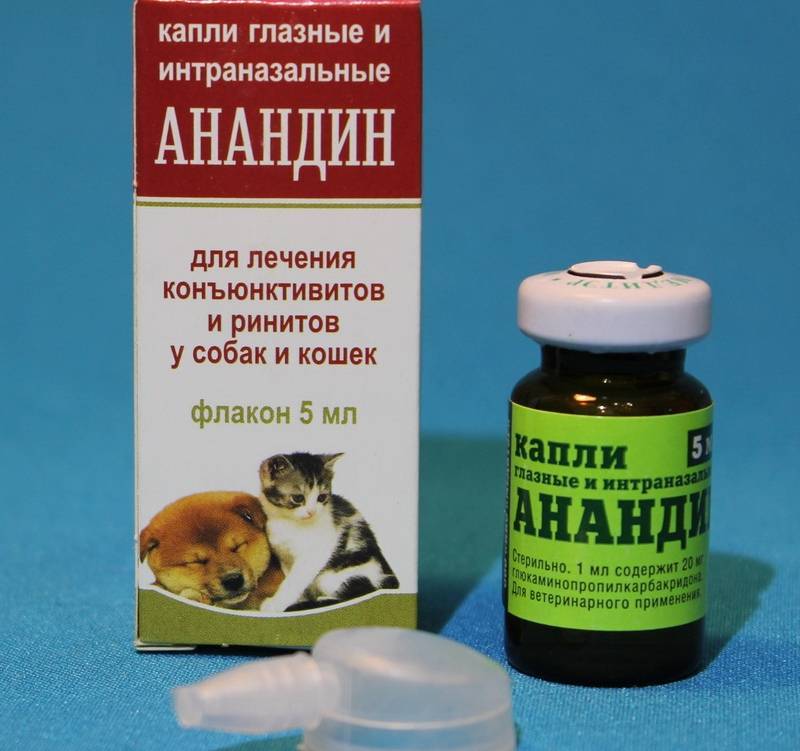 Максидин для кошек - инструкция по применению препарата - kotiko.ru