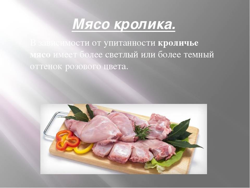 Мясо кролика польза и вред