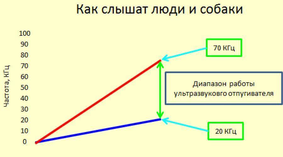 Как ультразвук влияет на собак | мой сад и огород