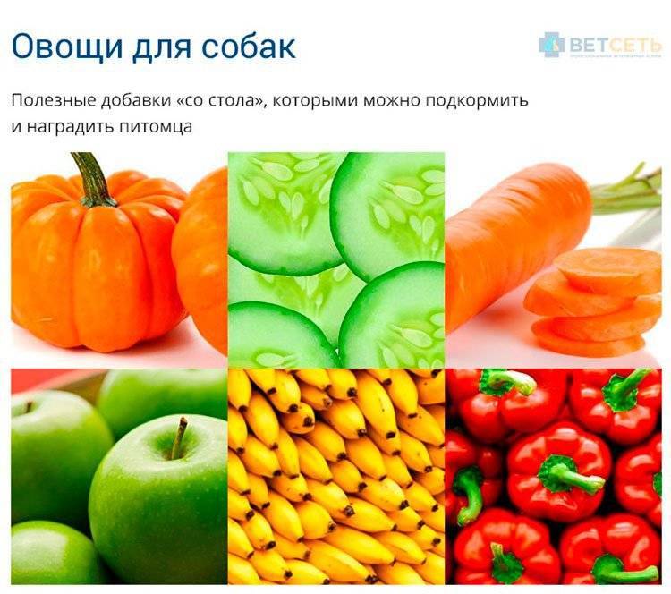 Слабительные продукты при запорах, рецепты блюд | микролакс ®