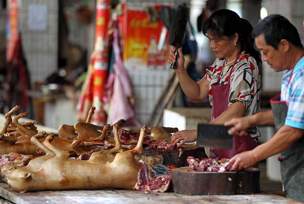 Китайцы верят — чем дольше готовить собаку живой, тем лучше для человека