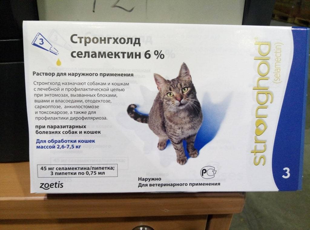 Стронгхолд для кошек: инструкция по применению, отзывы о каплях