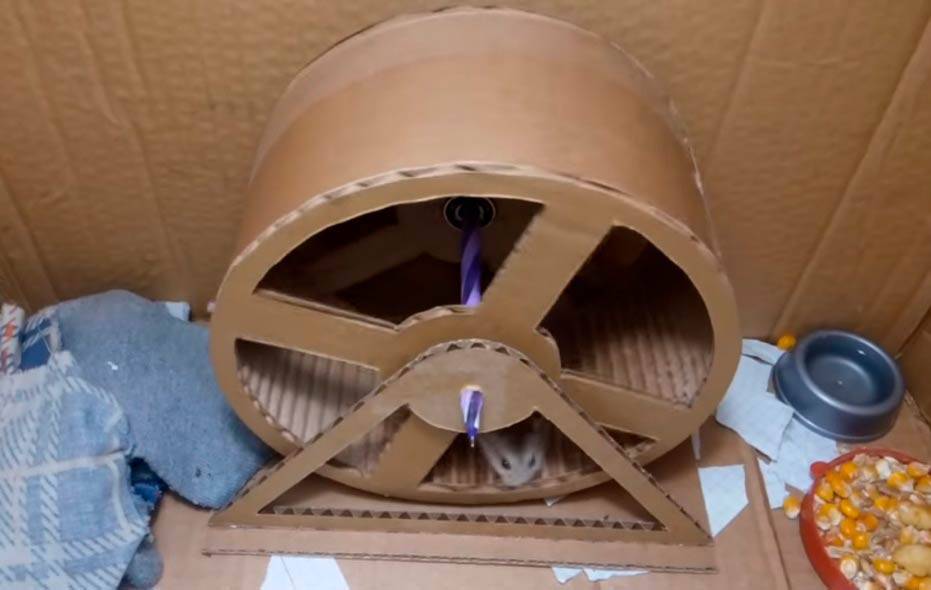 Лабиринт для хомяков: как сделать туннель для грызуна своими руками из разных материалов