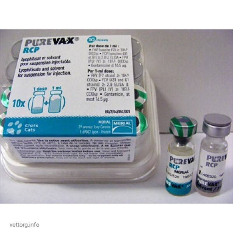 Пуревакс - вакцина от инфекций кошек. инструкция по применению пуревакса кошкам (состав, показания, противопоказания, дозы, схема прививок)