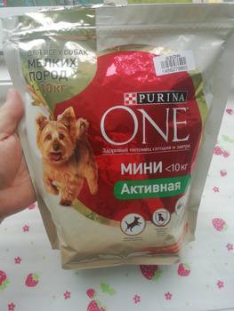 Корм пурина ван (purina one) для кошек