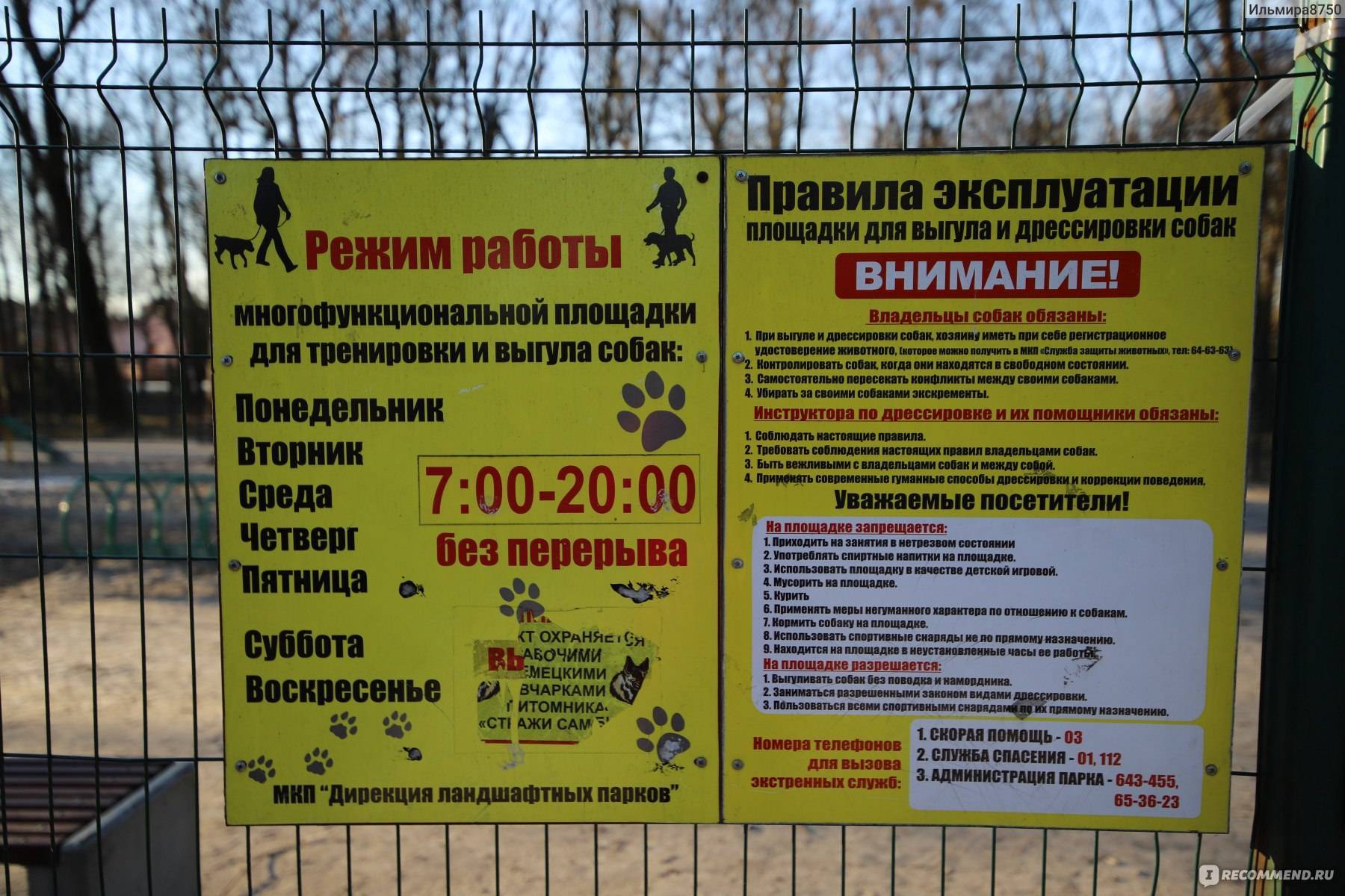 Закон о выгуле собак в российской федерации