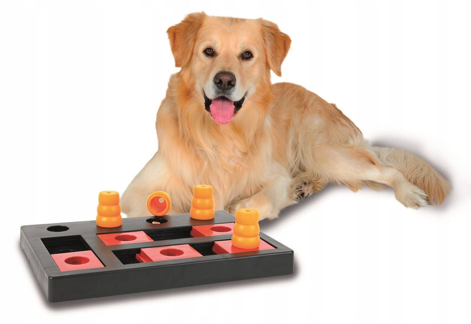 Игрушки для собак. как выбирать игрушку? какими бывают игрушки?