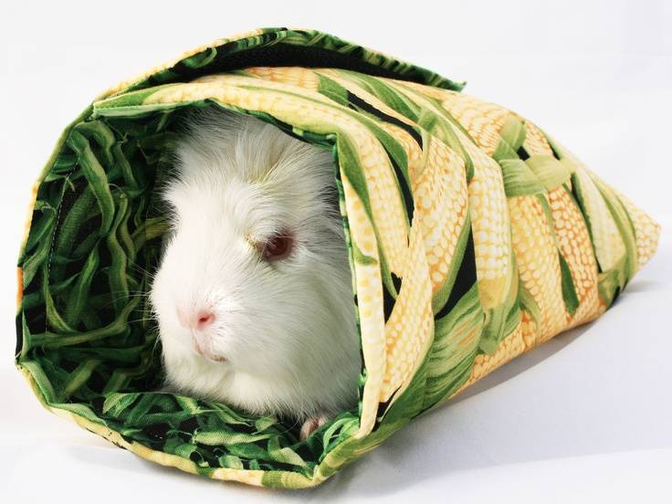 Можно ли декоративным кроликам цветную капусту