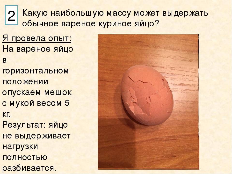 Проект на тему прочно ли куриное яйцо