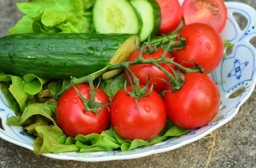 Лакомства для дегу: какие фрукты можно давать белке и чем кормить