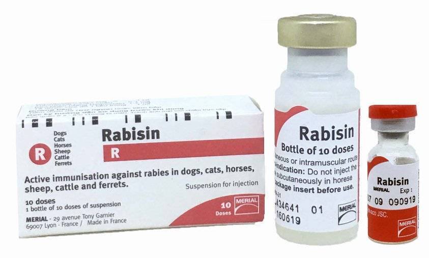 Вакцина рабизин для собак, кошек и других животных от бешенства