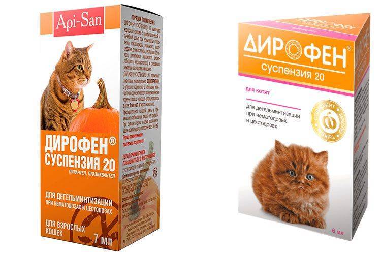 Инструкция по применению Дирофена для кошек