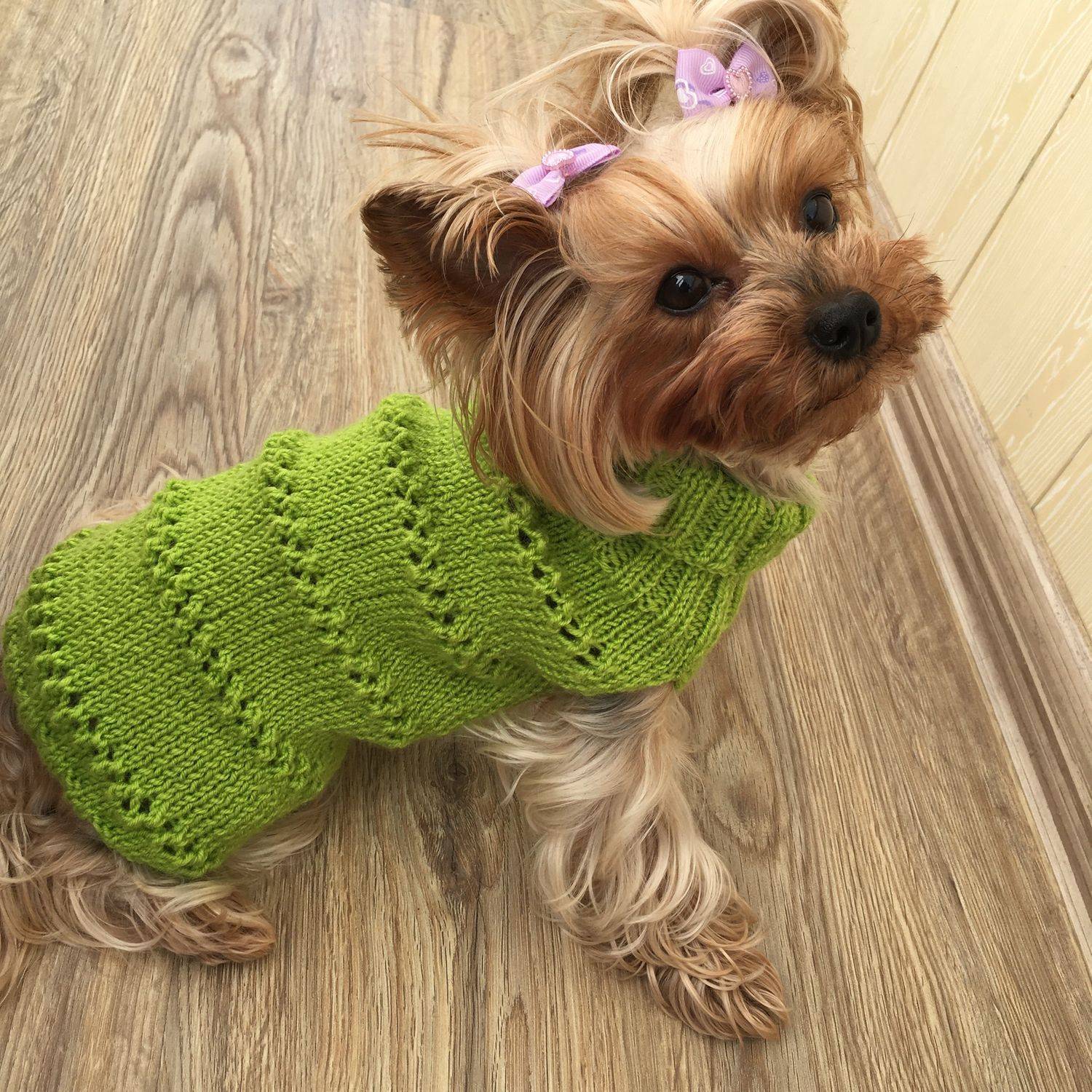 Вязание спицами одежда для собак