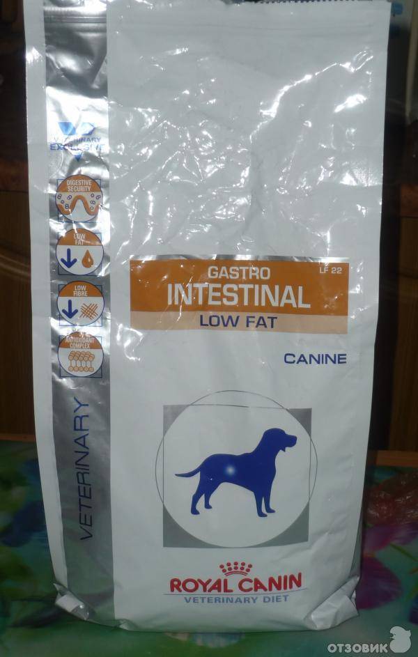 Royal canin gastro intestinal диета для кошек при нарушении пищеварения