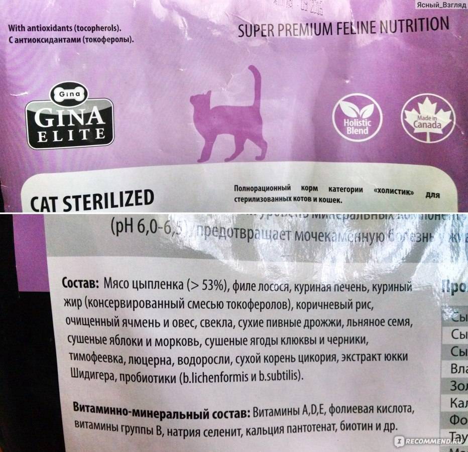 Корм «Джина» для кошек: суперпремиум или холистик