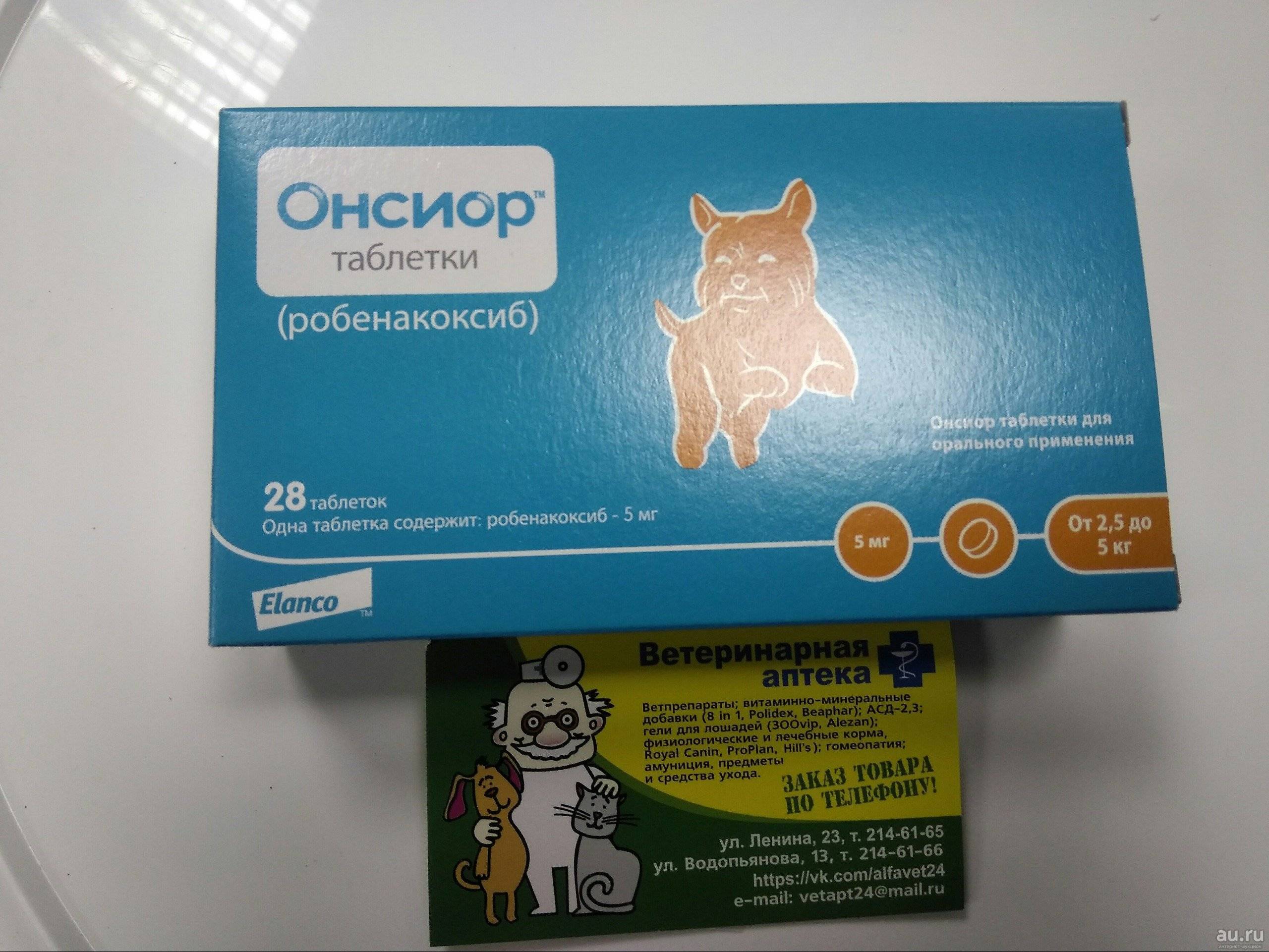 Онсиор для кошек: инструкция по применению, назначение, дозировки, отзывы ветеринаров