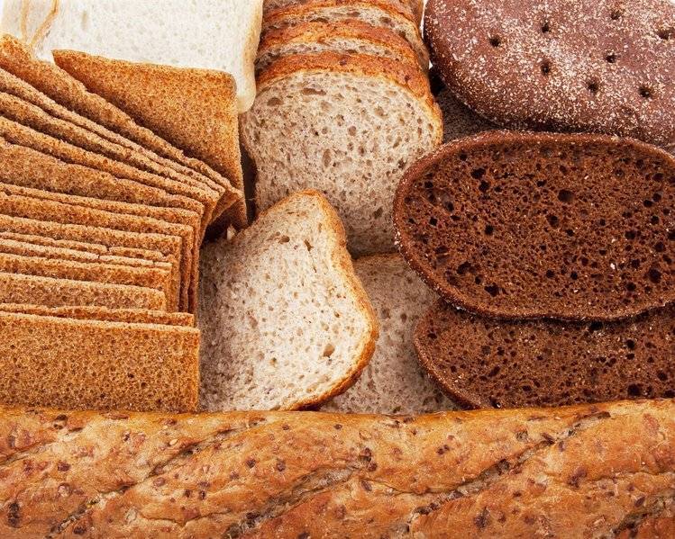 Можно ли внести хлеб в рацион хомяка