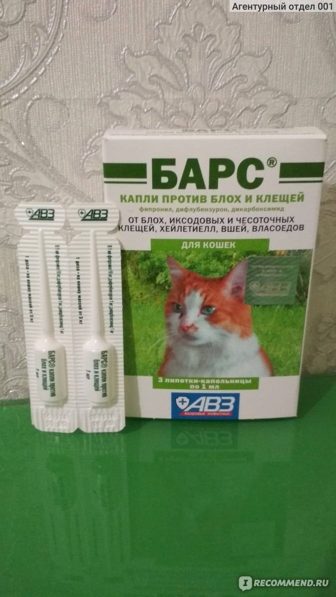 Капли барс от блох и клещей для кошек и собак: инструкция по применению, состав и отзывы