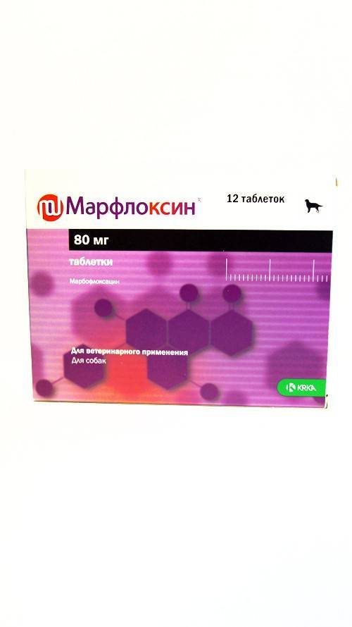 Марфлоксин для собак: таблетки и инъекции, инструкция по применению